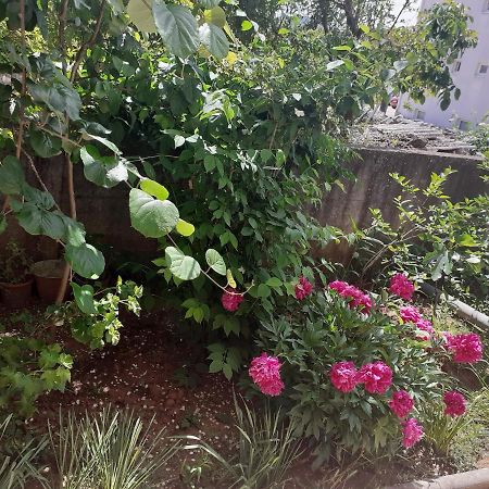Spirit Apartment Medjugorje Ngoại thất bức ảnh