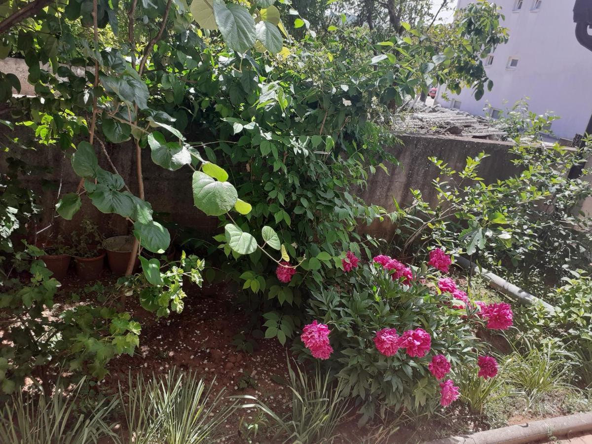Spirit Apartment Medjugorje Ngoại thất bức ảnh
